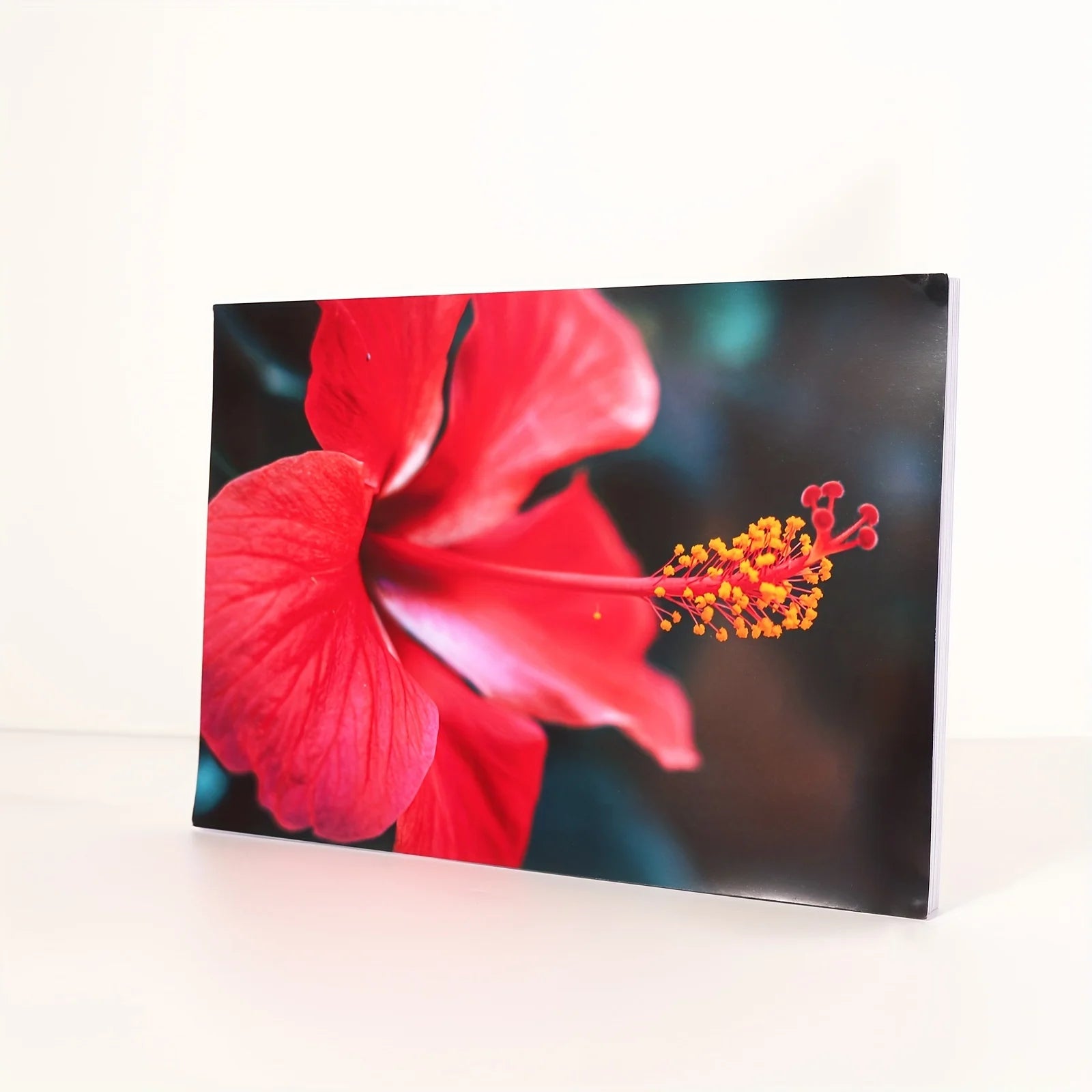 A4 Size 100 Sheets Presentation Paper Matte 8.3x11.7 Inkjet 32lb 108gsm Single Side Printable Photo for All Dye InkInkiet Printe